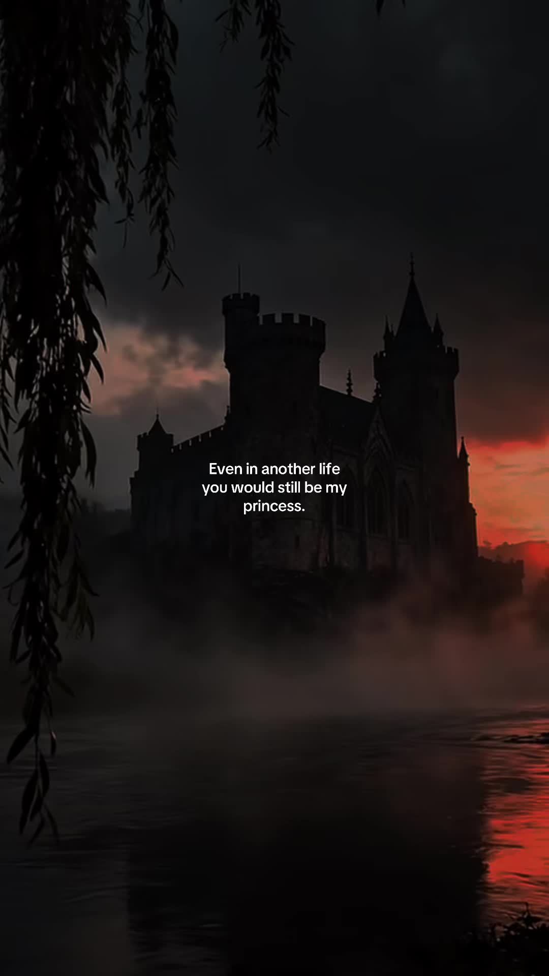 @noctyx