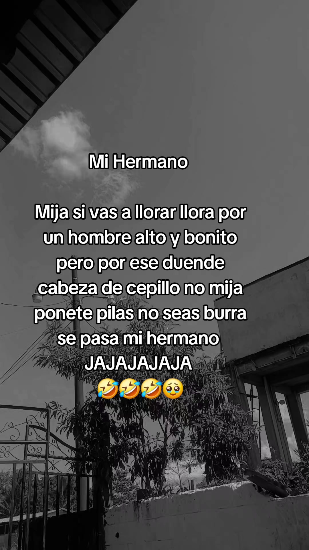 @Silvia Chkc