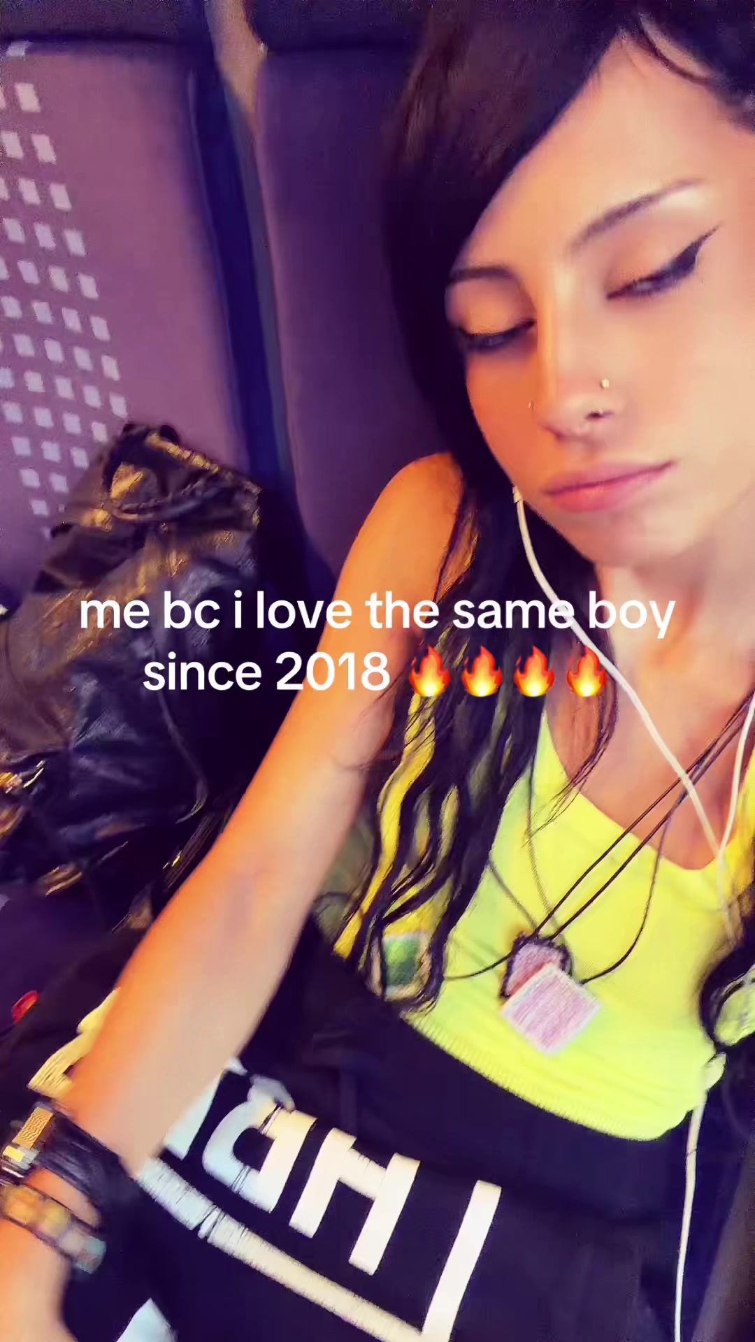 @persiankitten