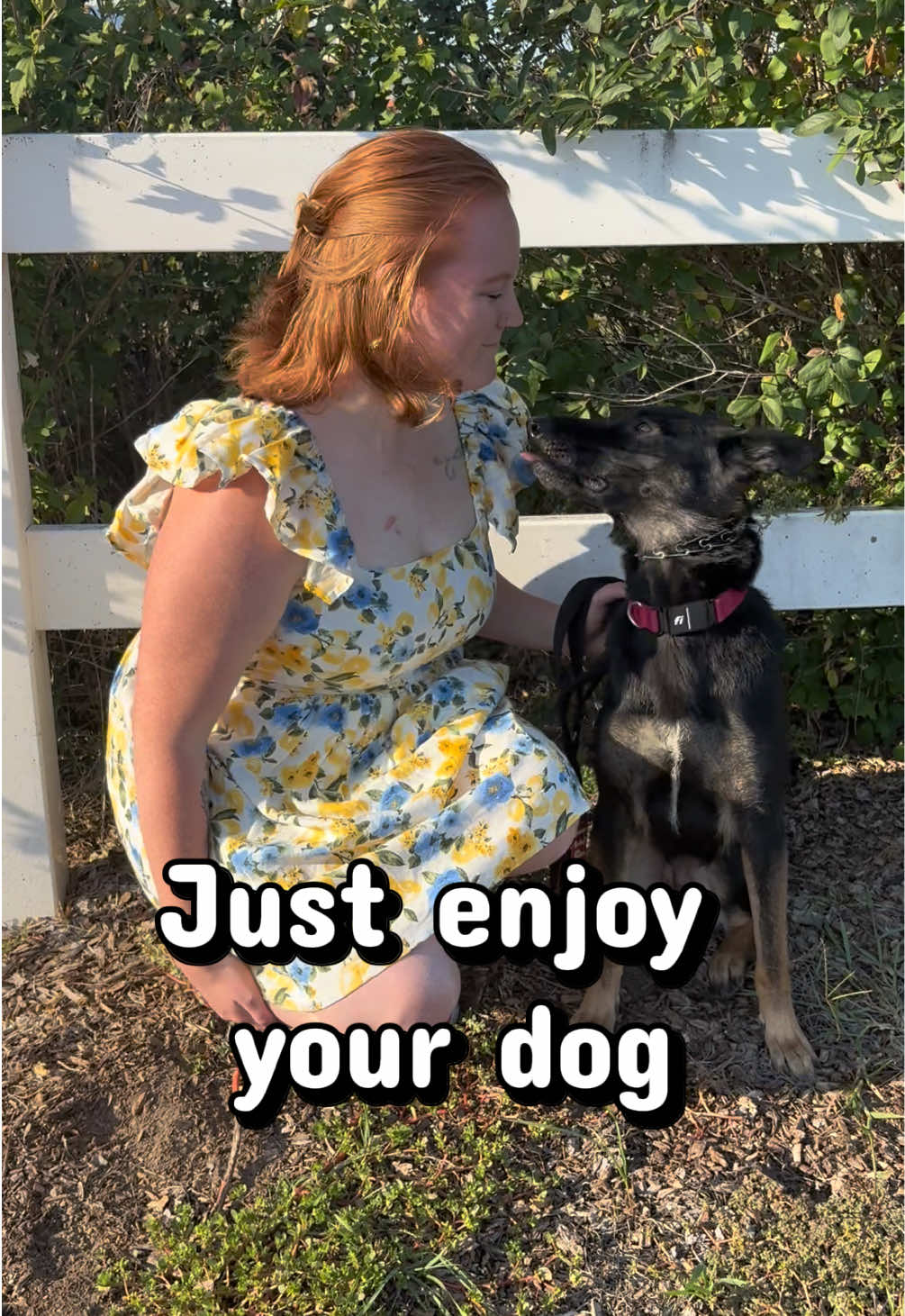@potsiewithdogs