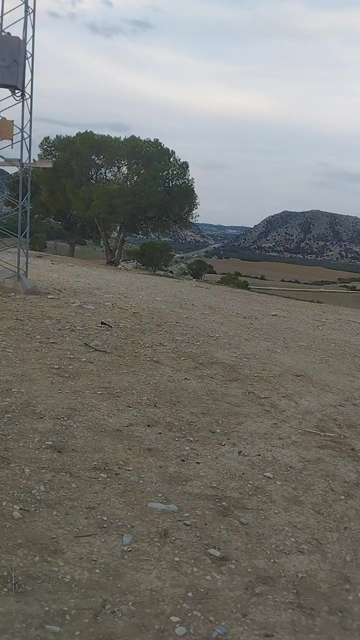 @Ali Hamemi