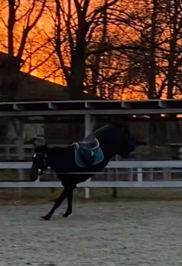 @𝓔𝓶𝓶𝓪👱&zwj;♀️&𝓑𝓪𝓻𝓫𝓲𝓮🦄