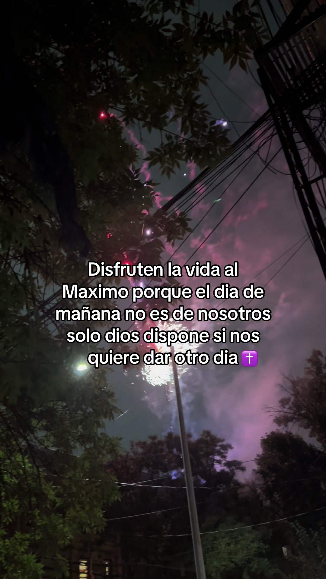 @tito.com237