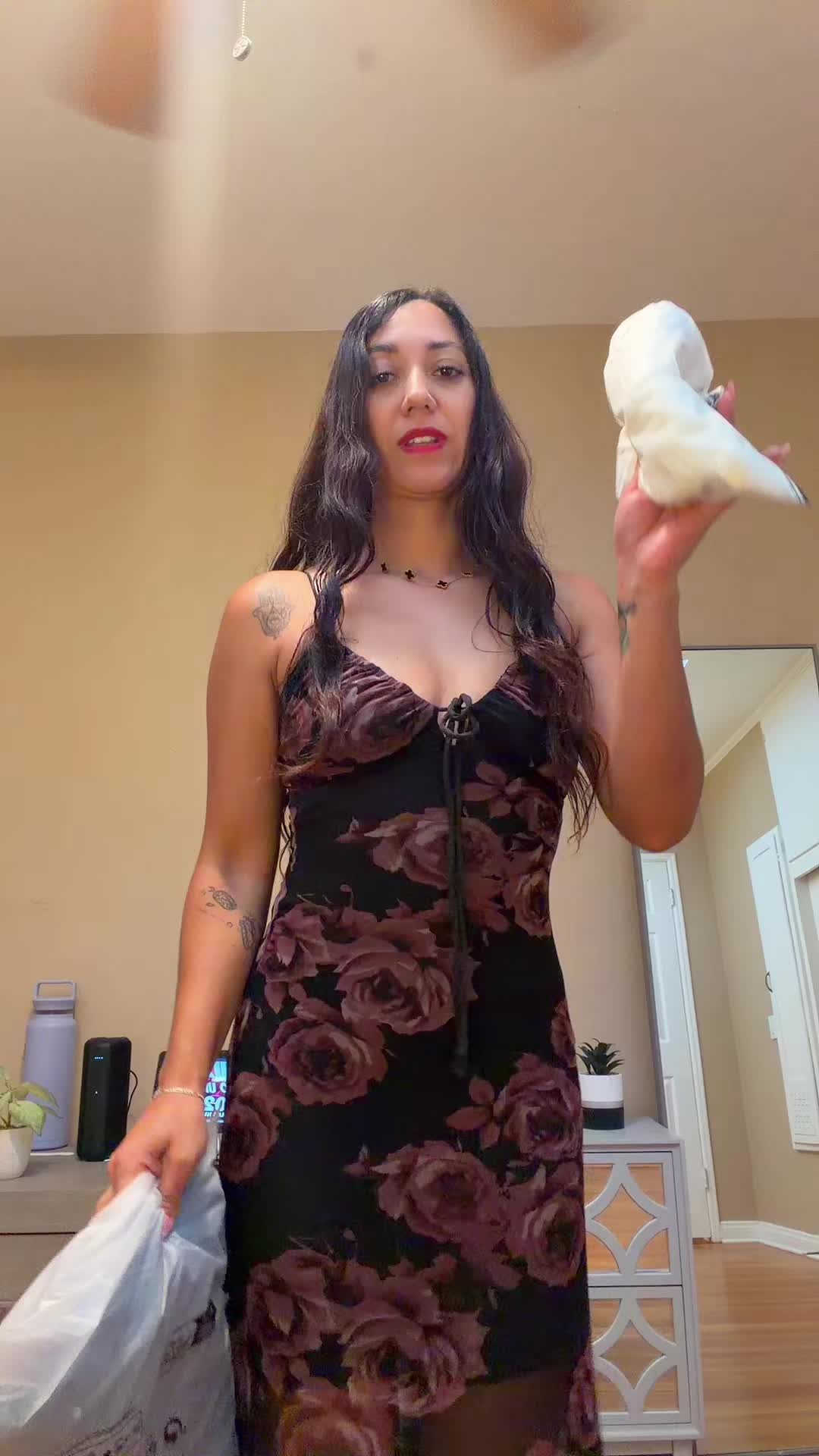 @Lupys VR