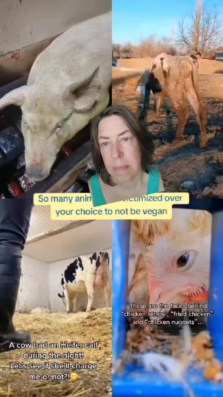 @Khaby Go Vegan