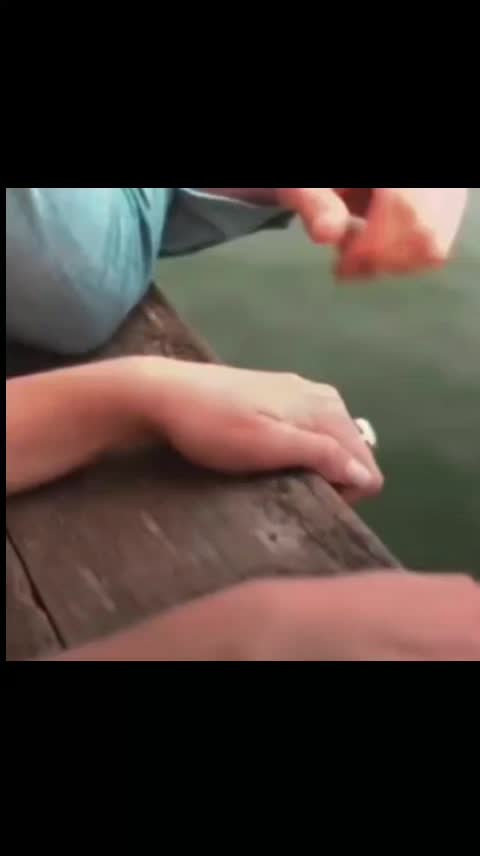 @Ella.Anto@MY.RY