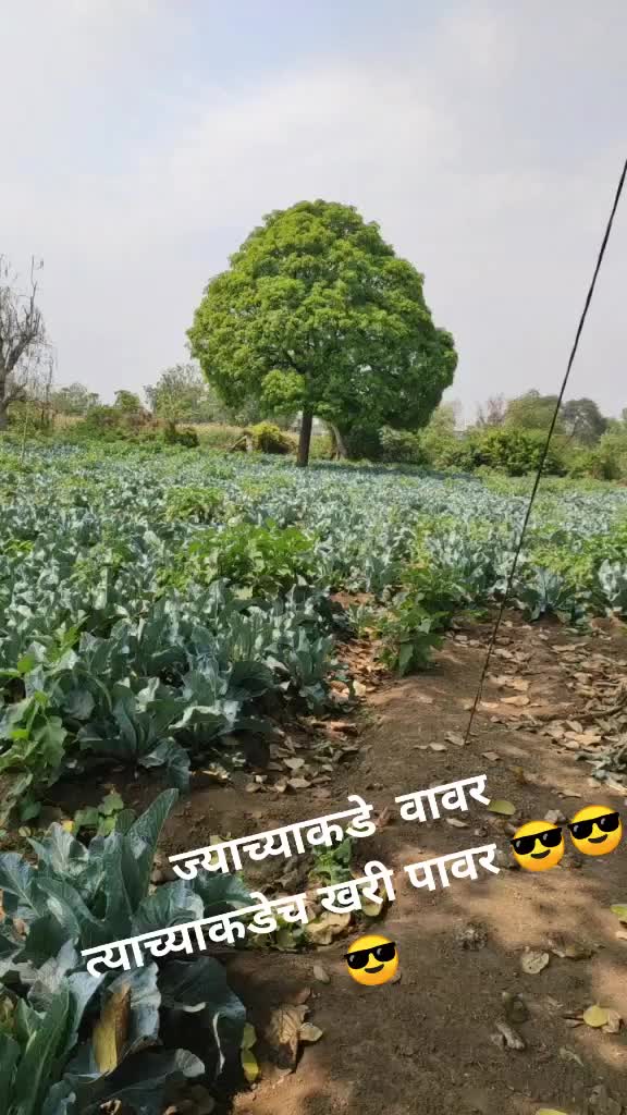 @Akash Bhalerao