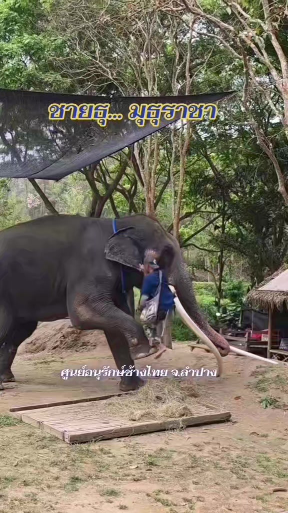 @นุ^-^ 🐹🐹💥🎧