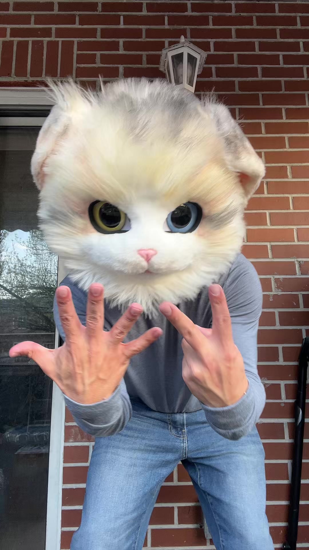 @The CaT 😼