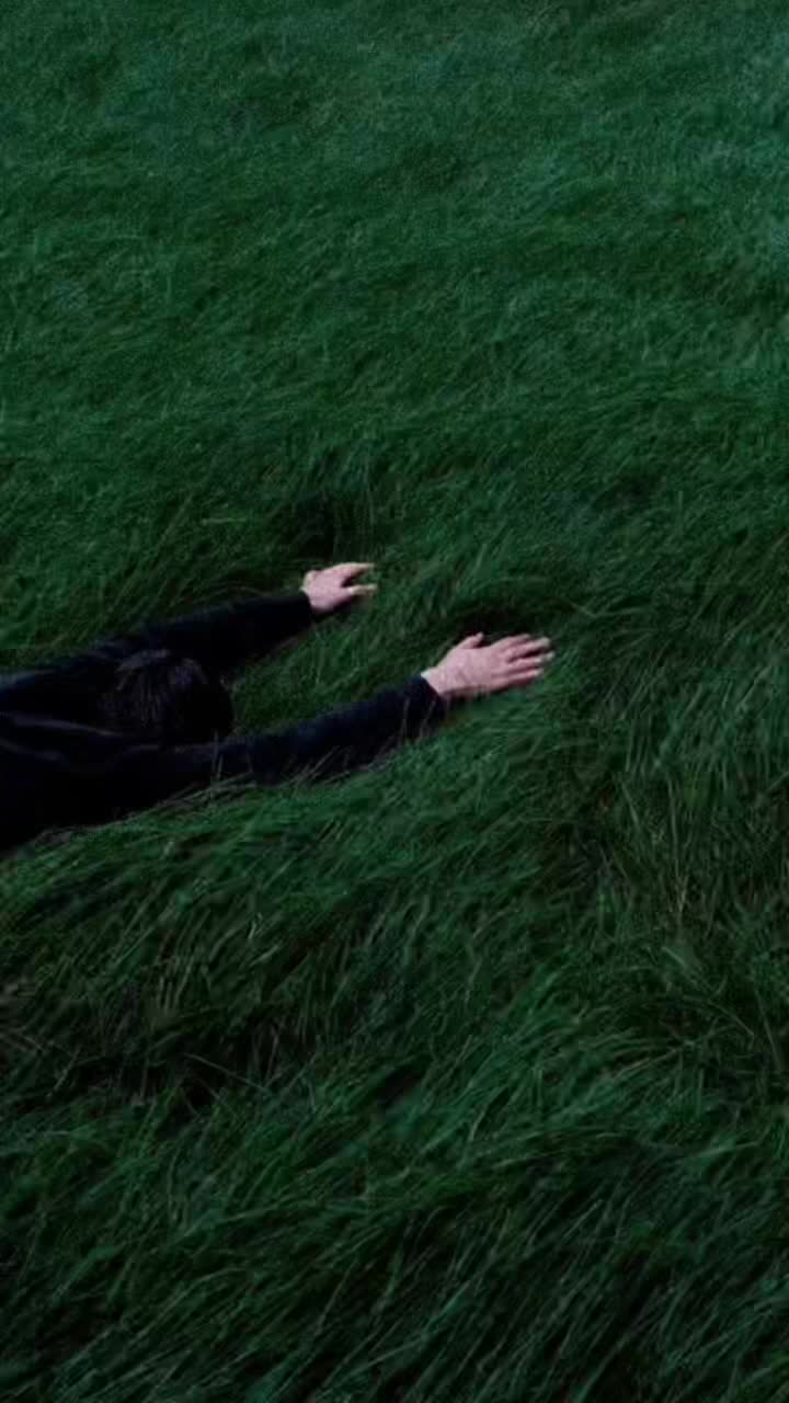 @edsidal18