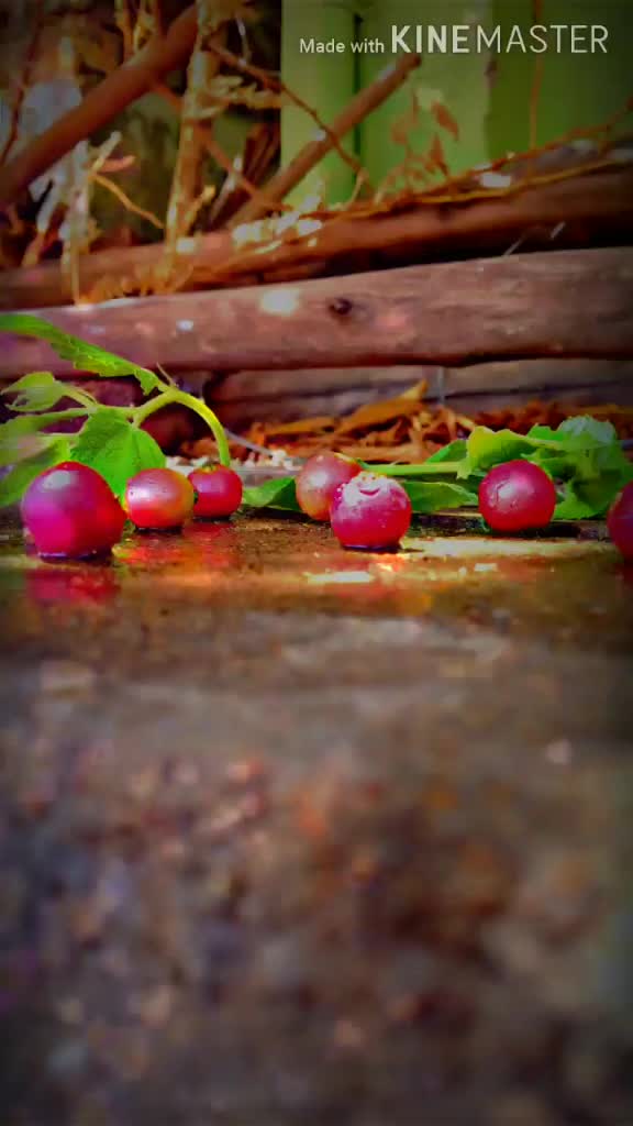 @style santhosh