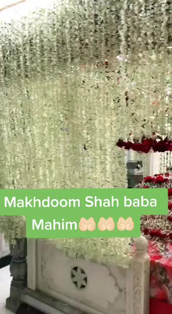 @Afroz shaikh