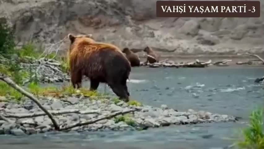 @Belgesel Dünyası 🌏