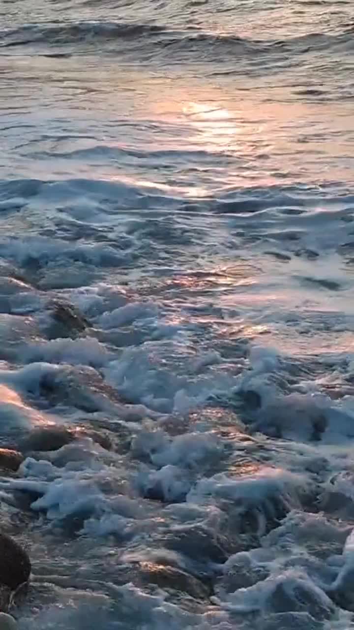 @fabiolalaface