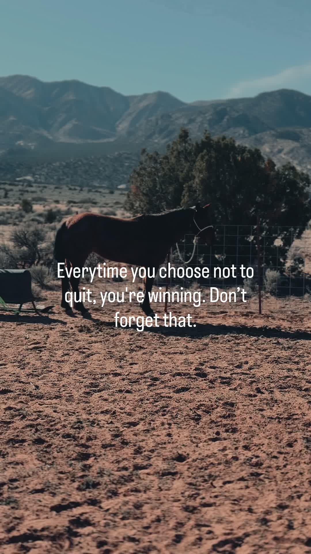 @The Cow Dude