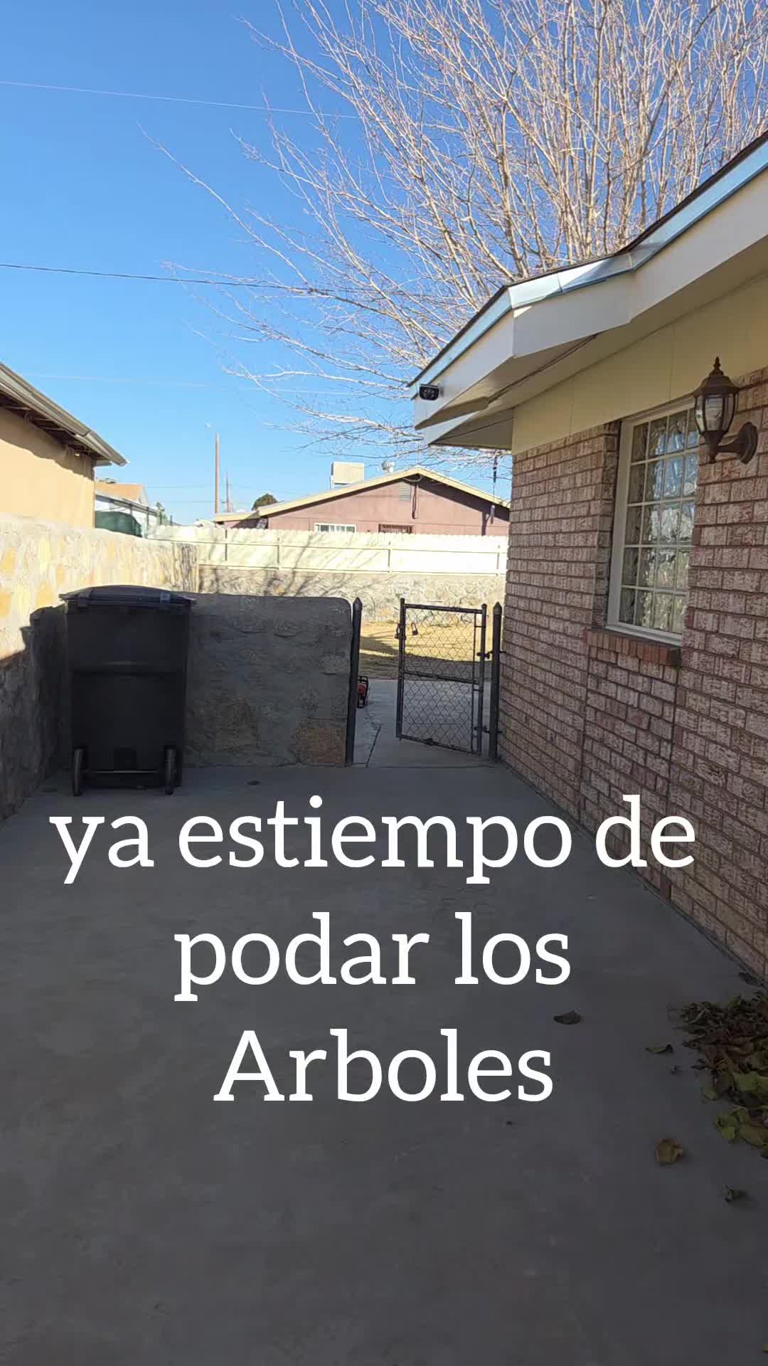@Primo Regules