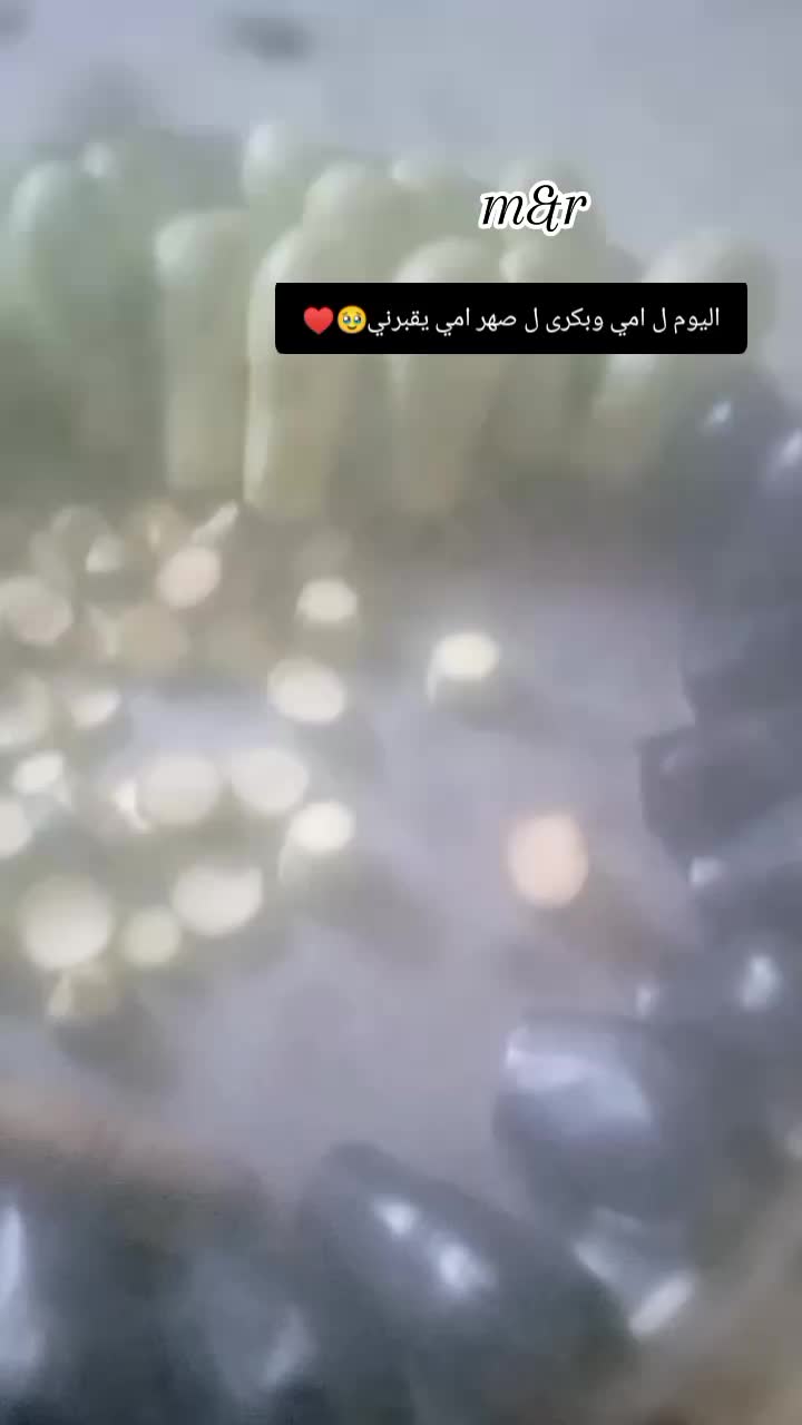 @غـنـ⃪ـوجــ⃪ٍـ⃪ه ألـحܔلـبـي𝑴😌