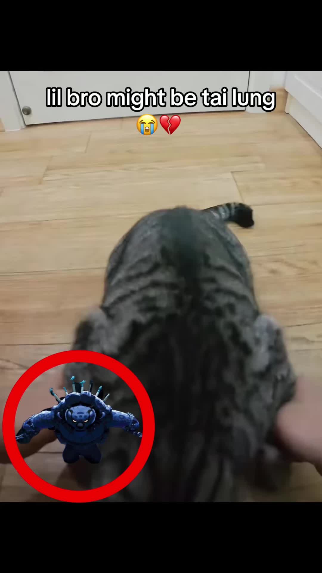 @bababooy1.2