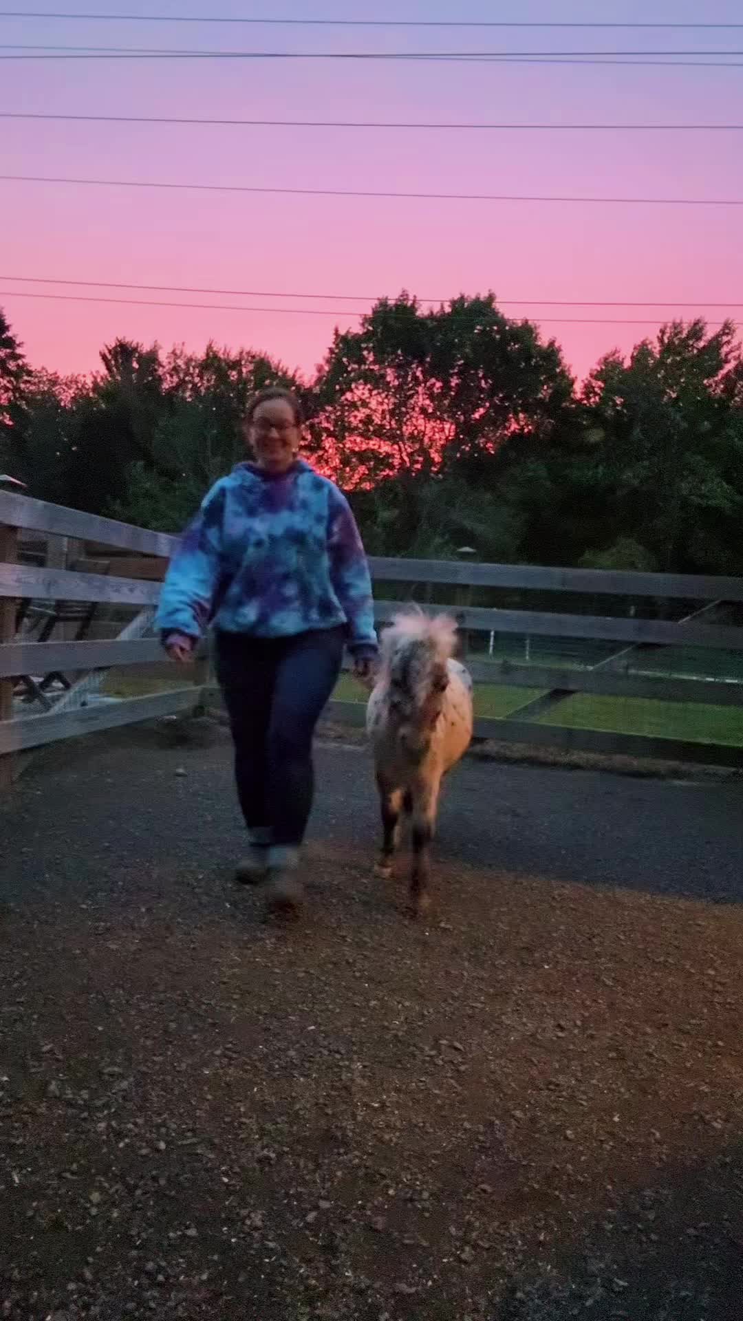 @Maxwell Farms