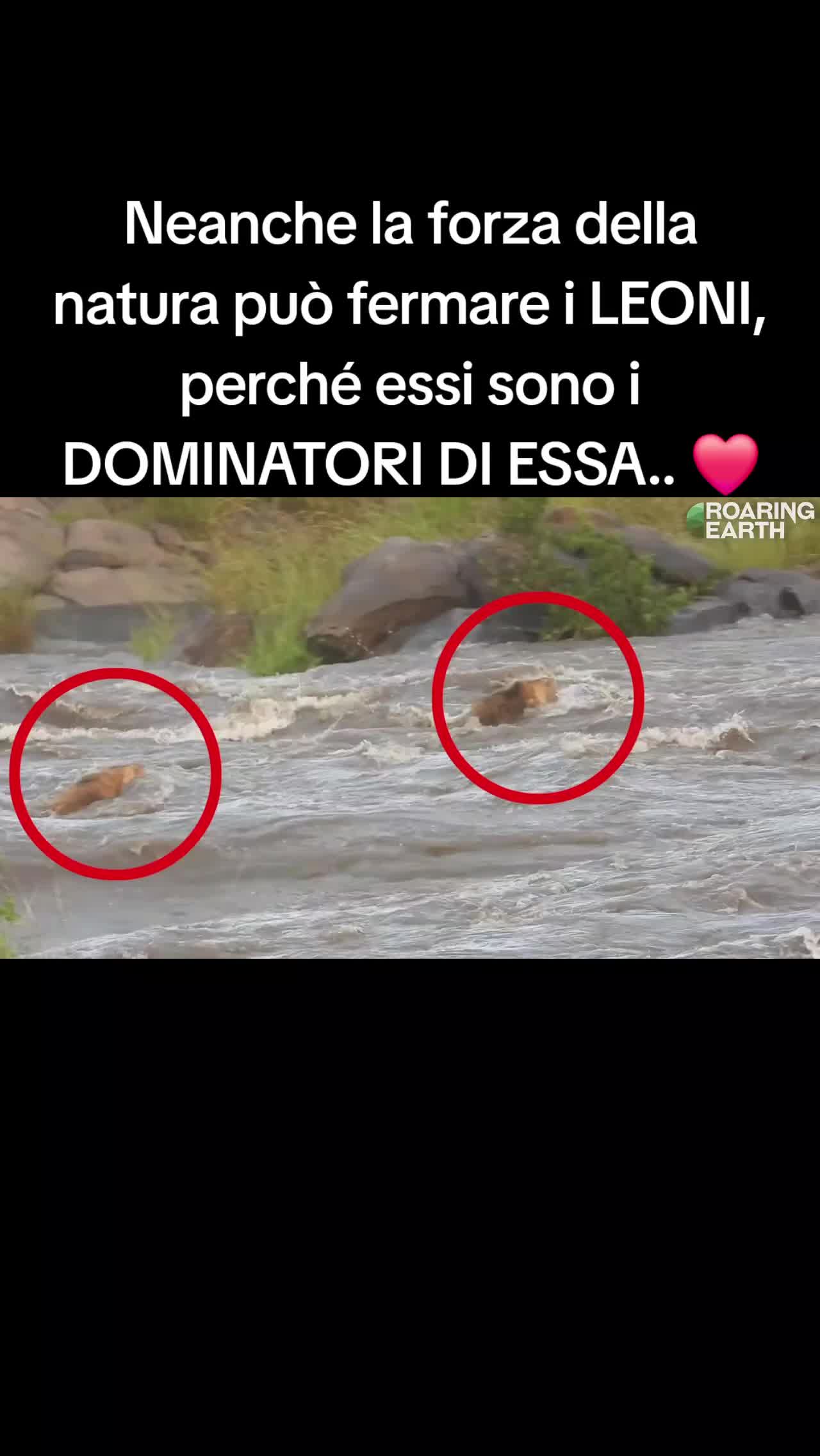 @Cosimo