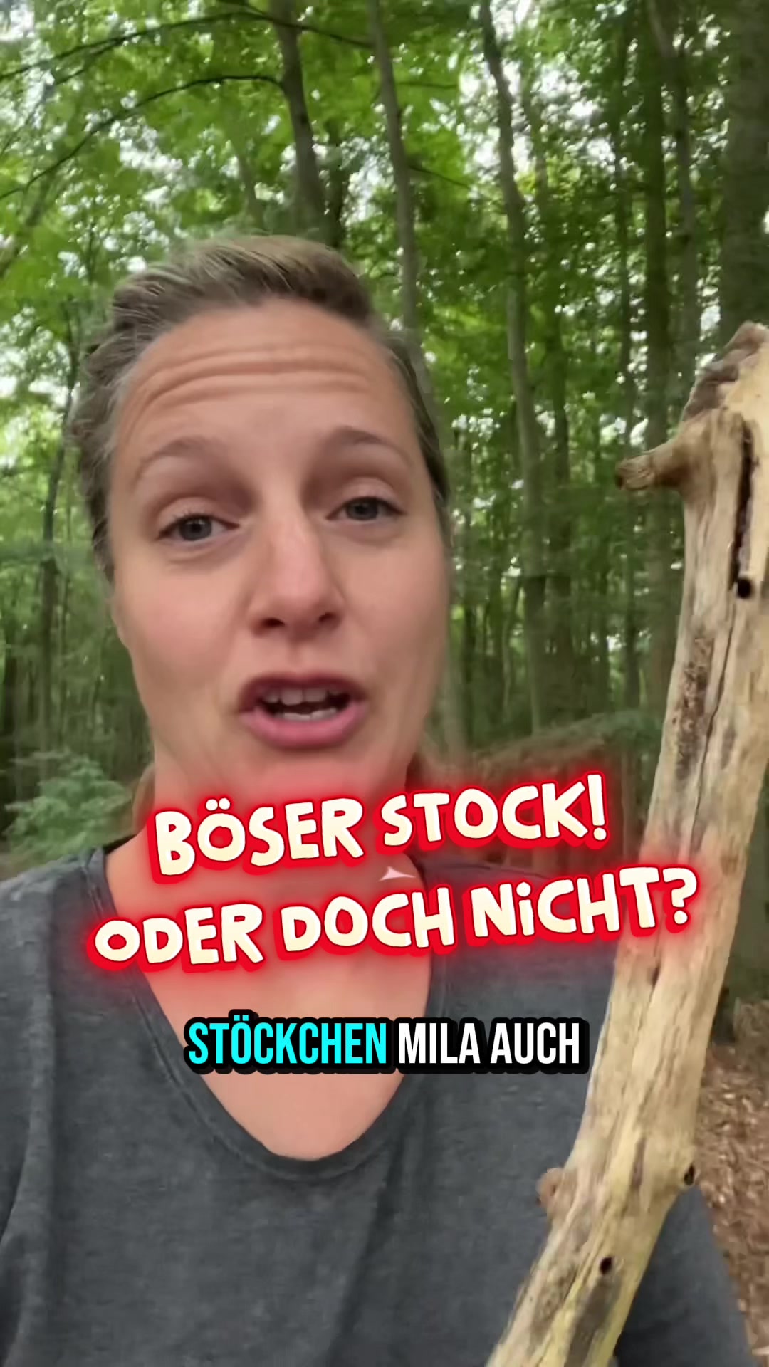 @INSAbenteuerHund