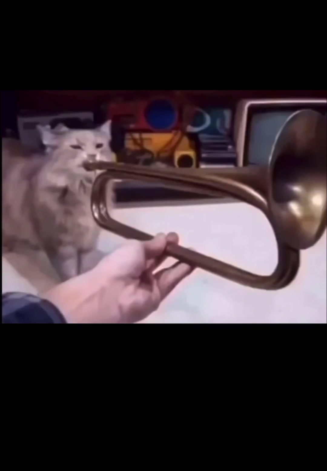 @kiki 🗝️
