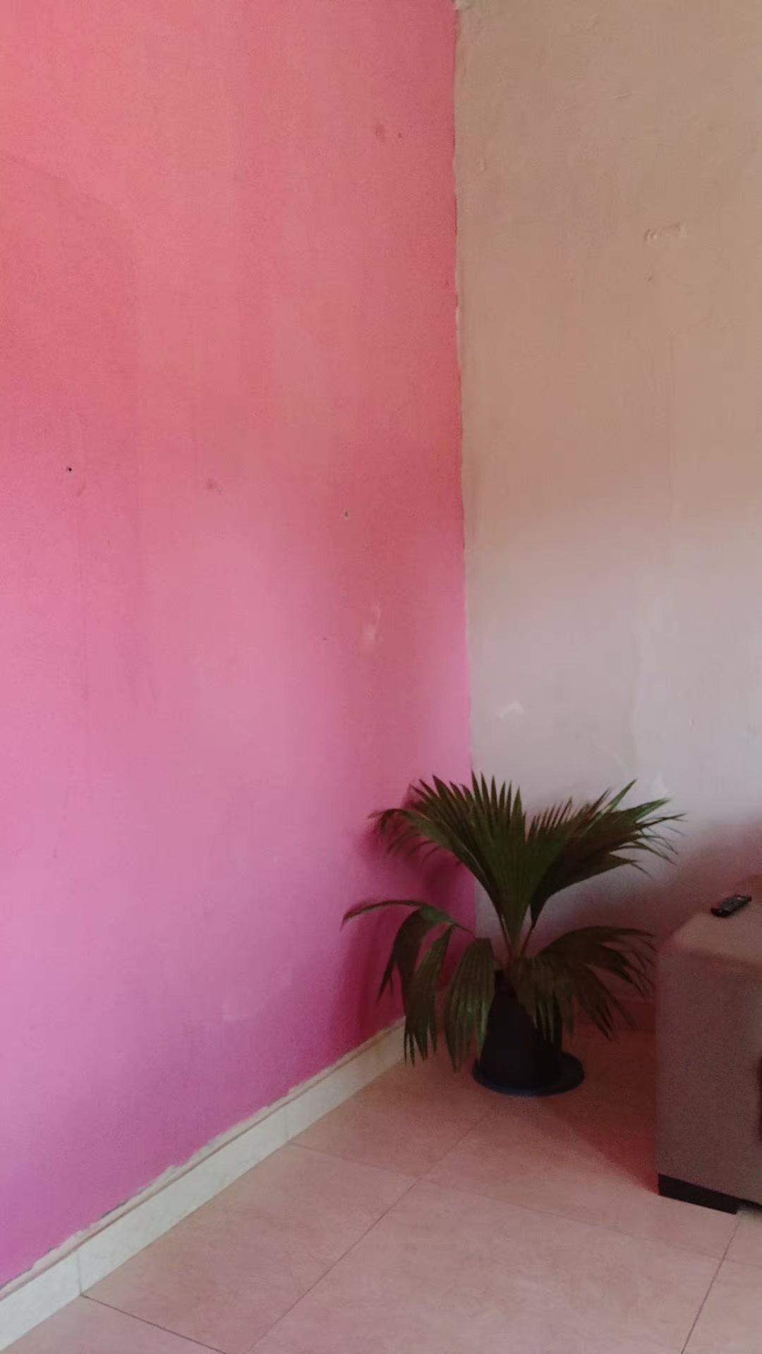 @famozinha do tiktok