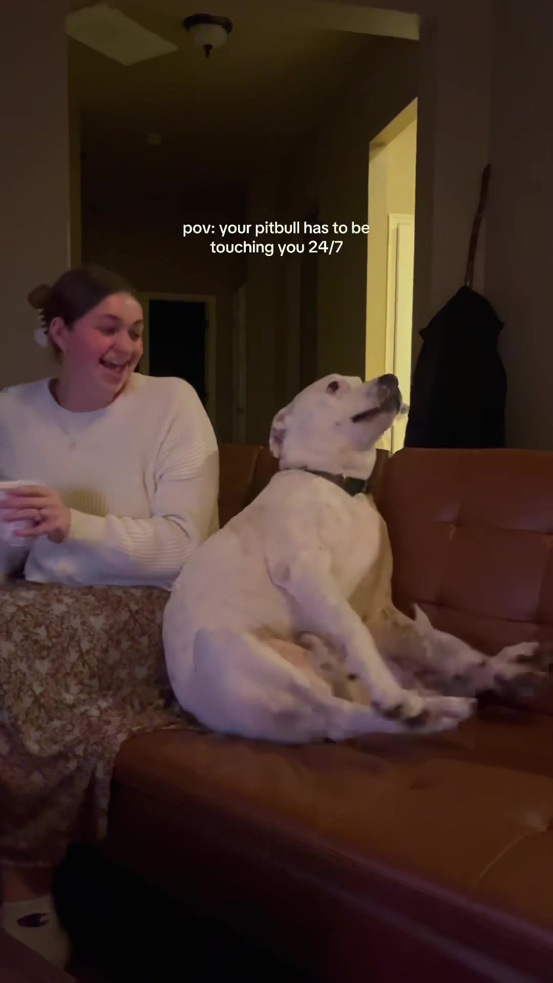 @K9stories