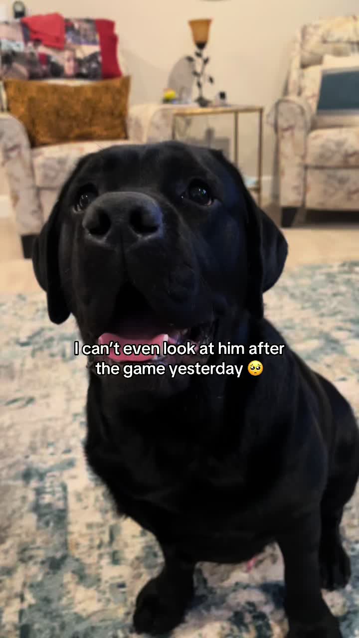 @The Chocolate Chonks 🤎