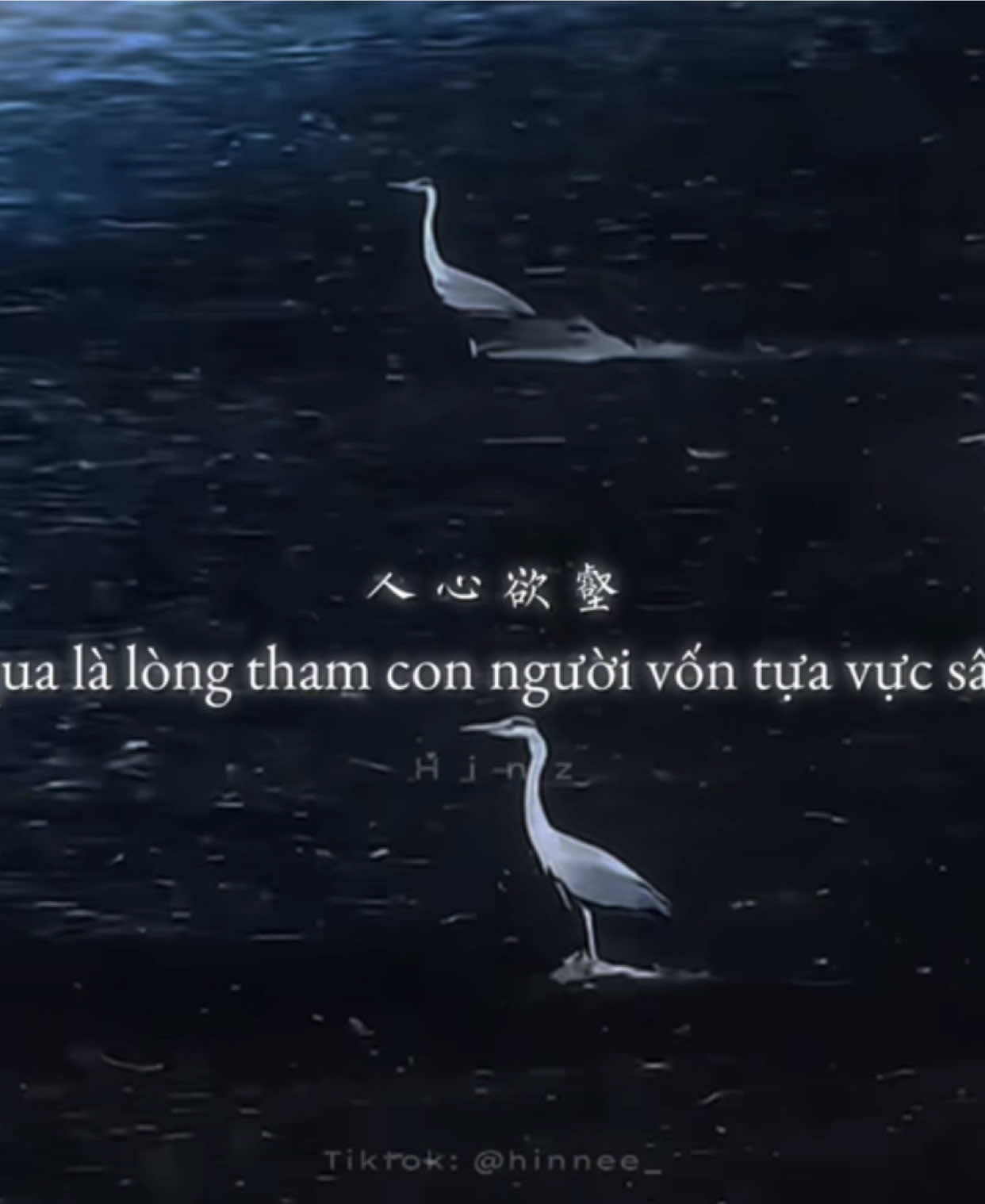 @𝙃𝙞𝙣𝙯