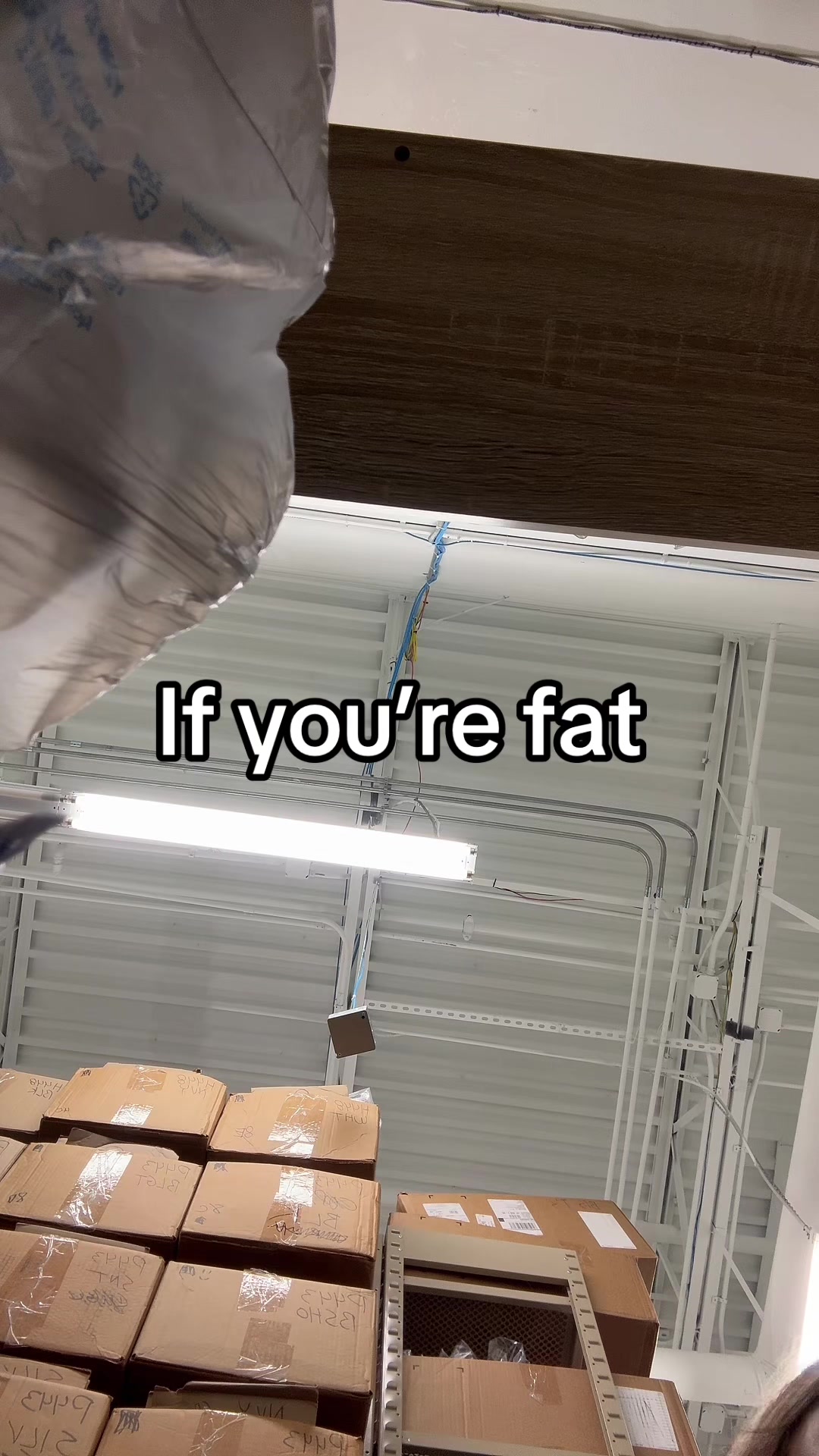 @🦇