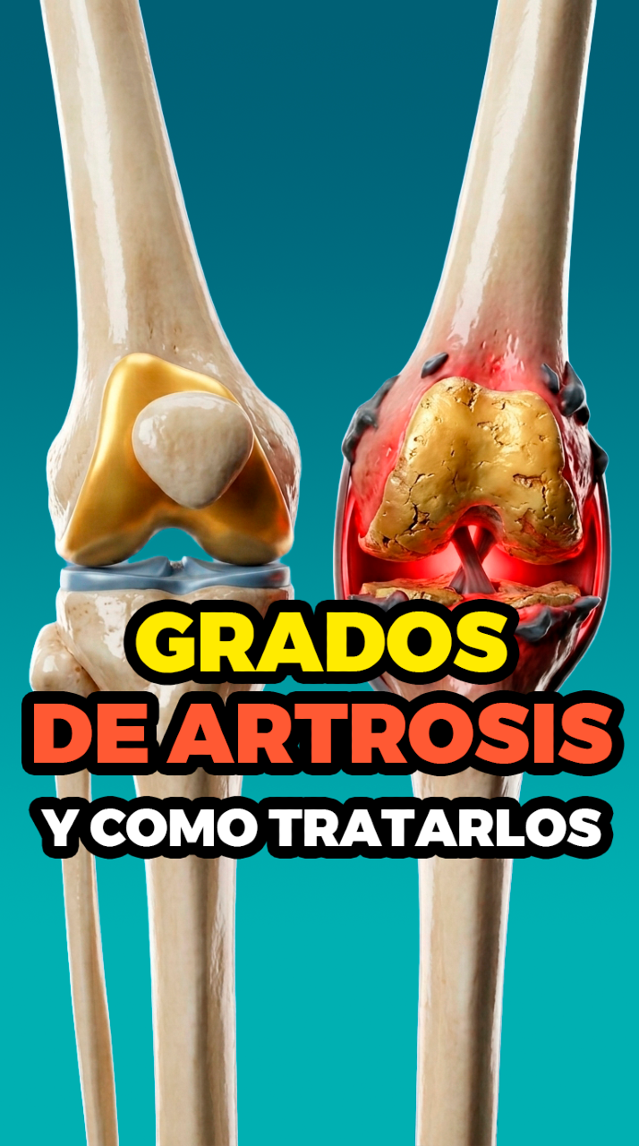@CEO SALUD