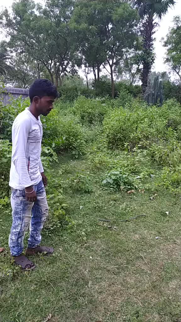 @Raj karmakar(Babu)