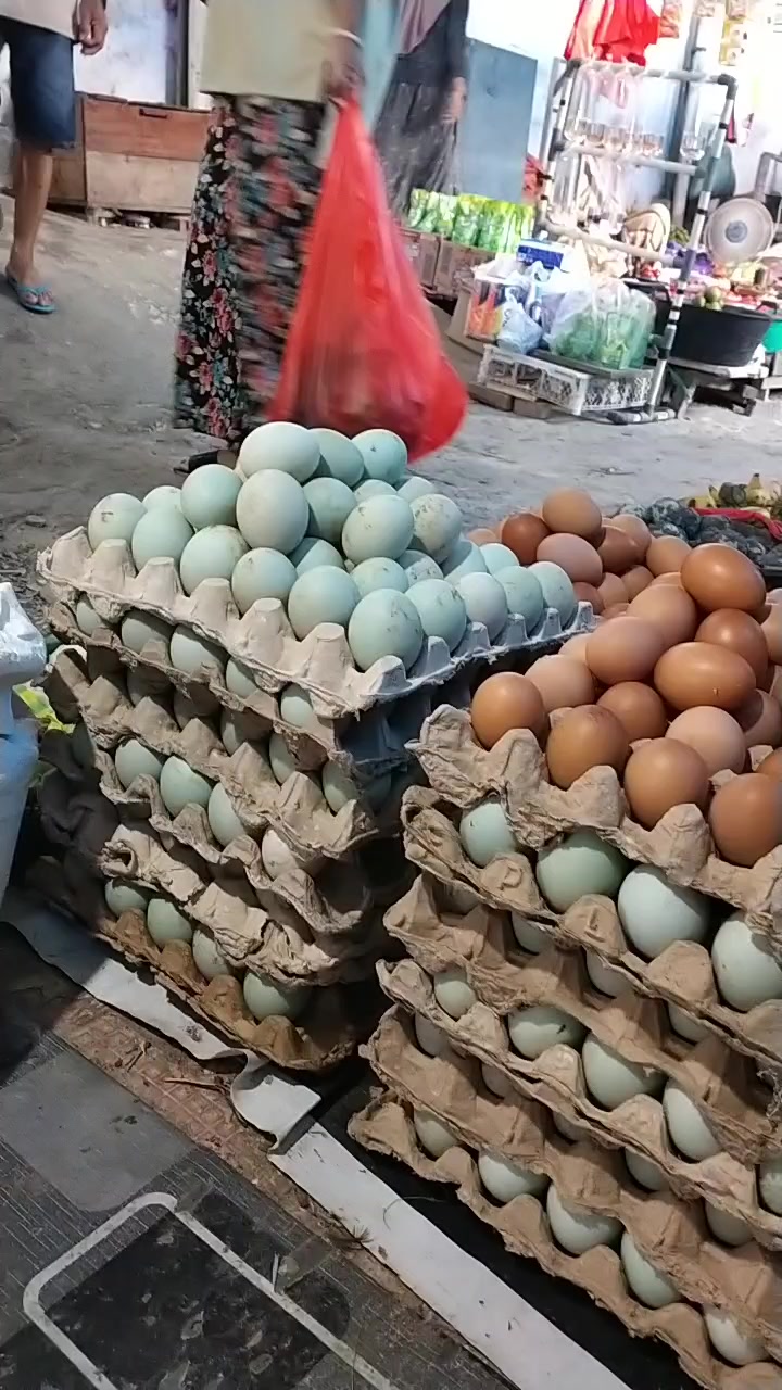 @BAHAR PAMMANA