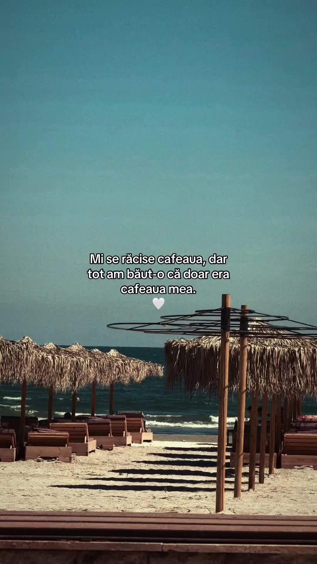 @Elisa A🥥