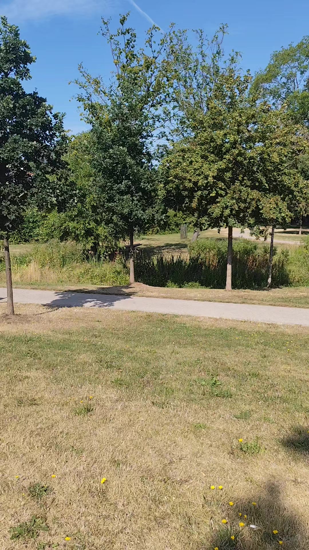 @G&aacute;bor &Aacute;rvai