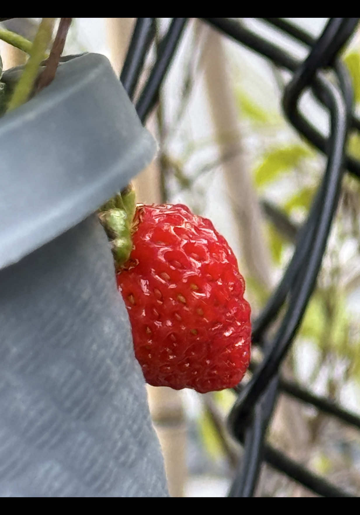 @ʏᴜᴋɪɪ ᵒ̴̶̷̤ꇴᵒ̴̶̷̤