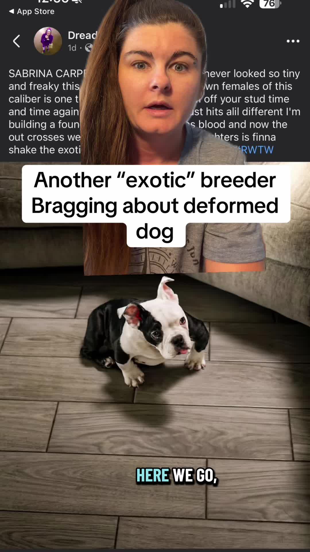@Jess Shark🐾DOG PACK🐾