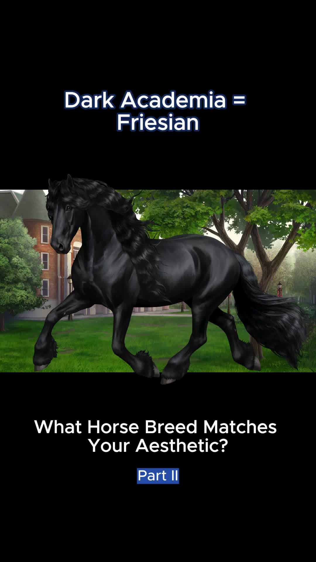 @Horse Reality