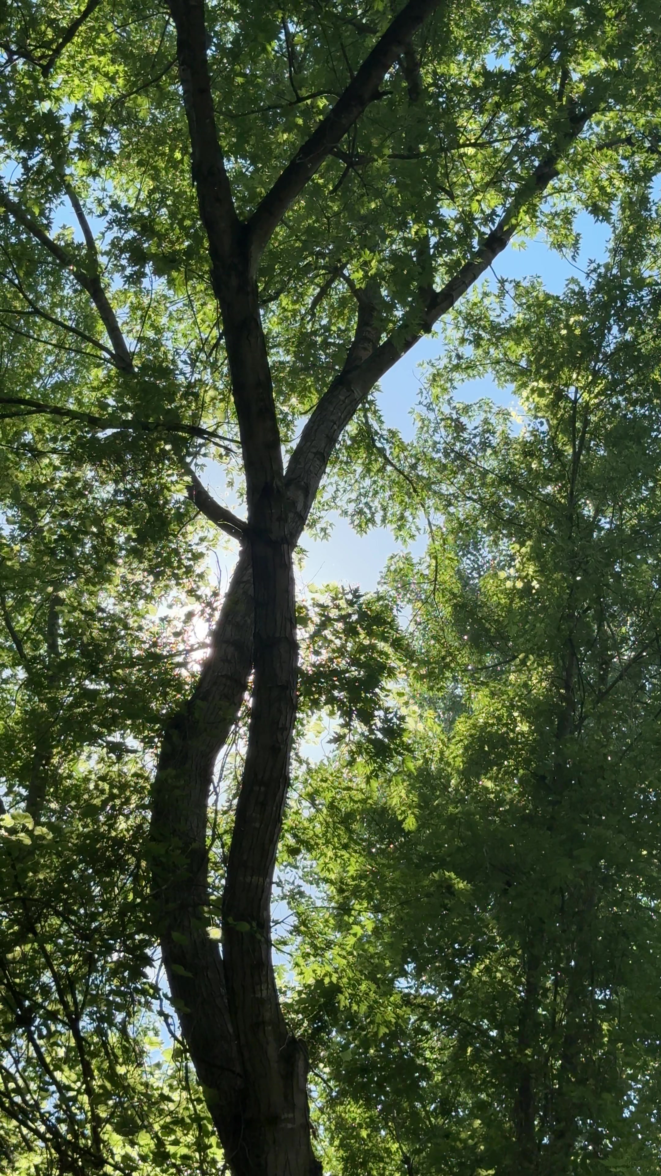 @Hayley 🌿🦇🌻