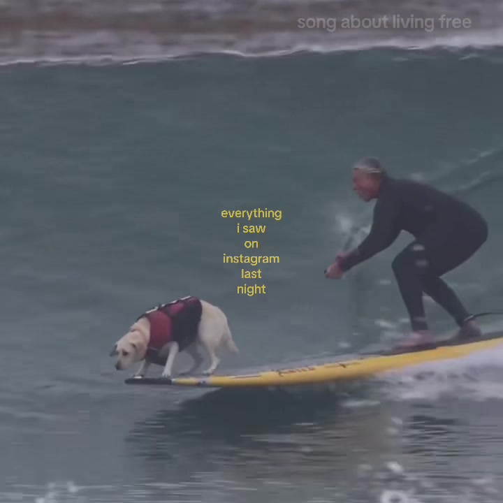 @ketosurvivor