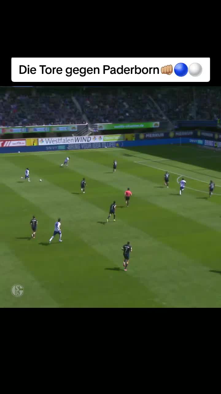 @Schalke.total