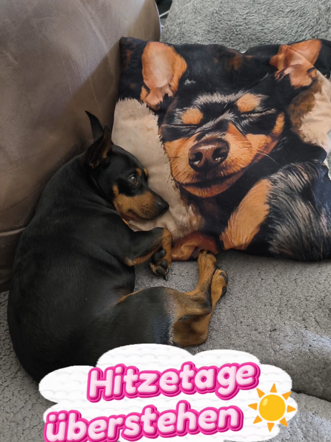 @ICH BIN'S