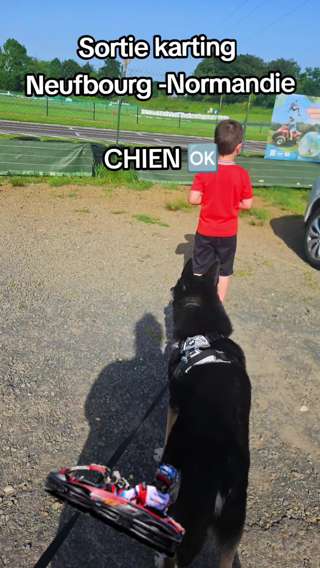 @laura mom and dogmom