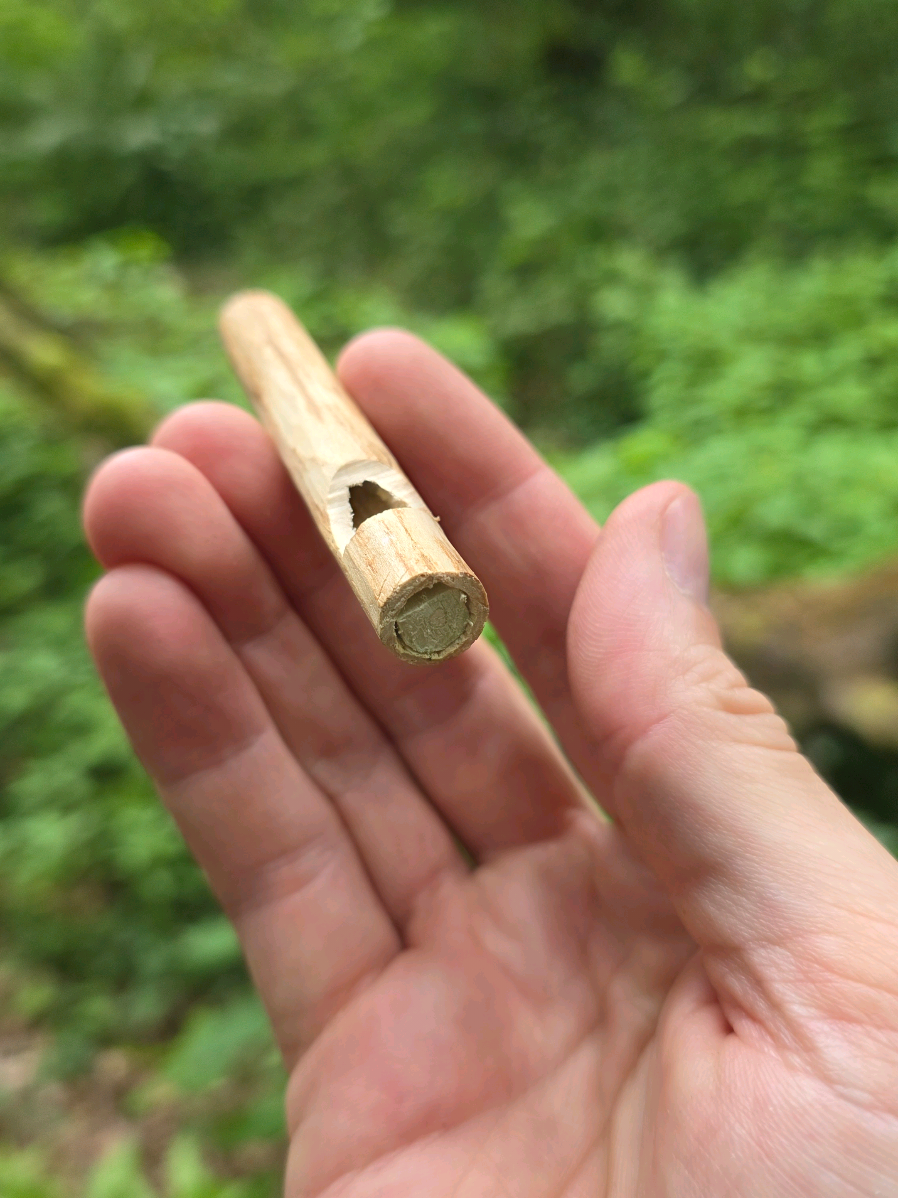 @winter_and_bushcraft