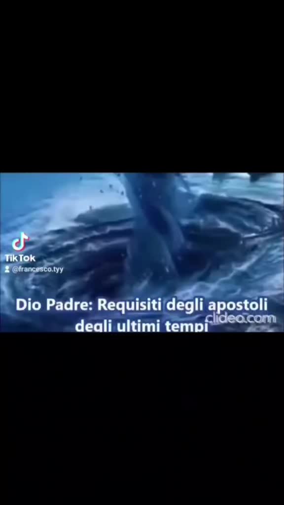 @Francesco tyy