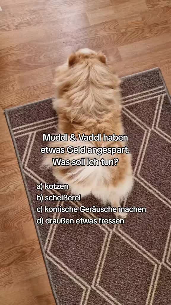 @Mias Spitze Welt 🫶