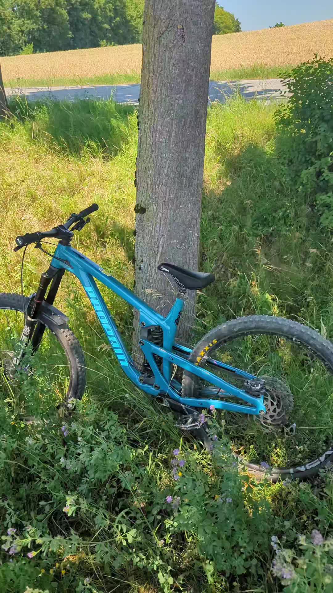 @vincent.spndrft