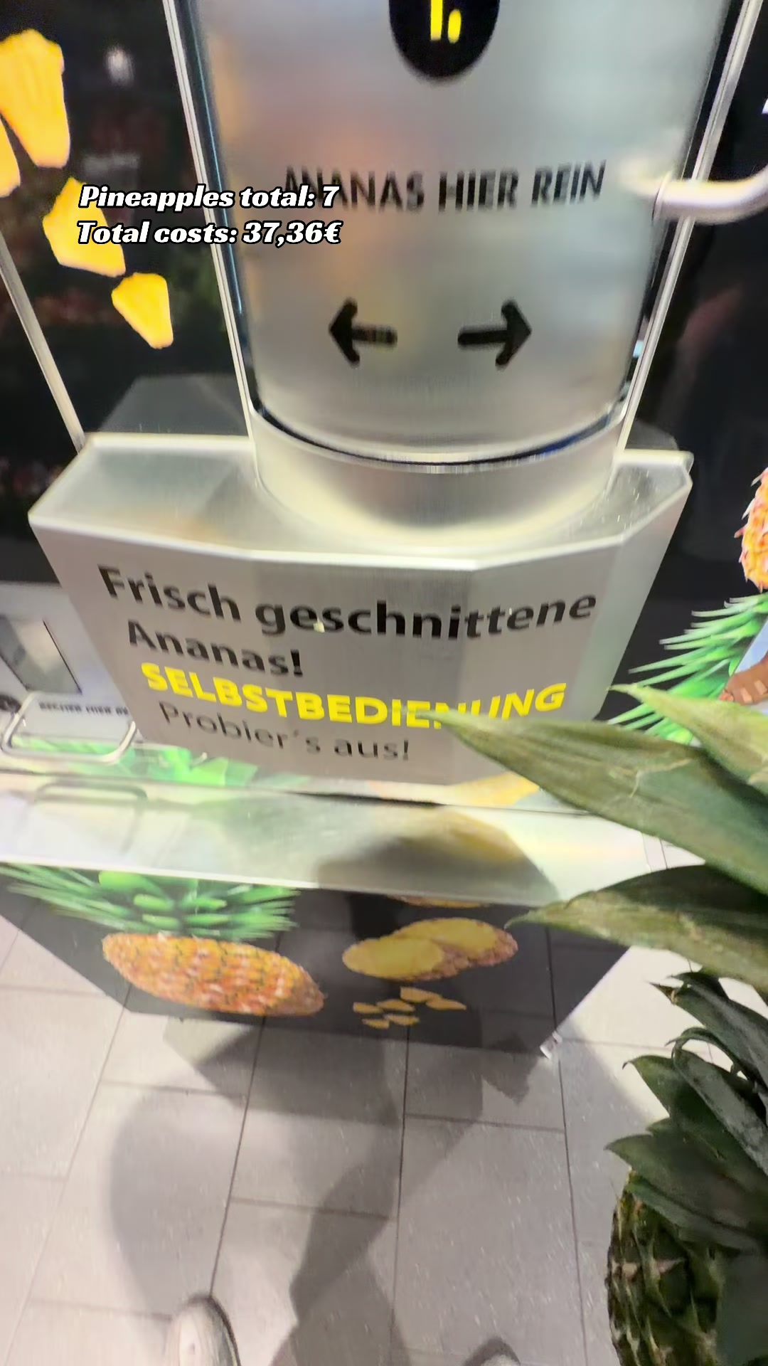 @PineappleHeine