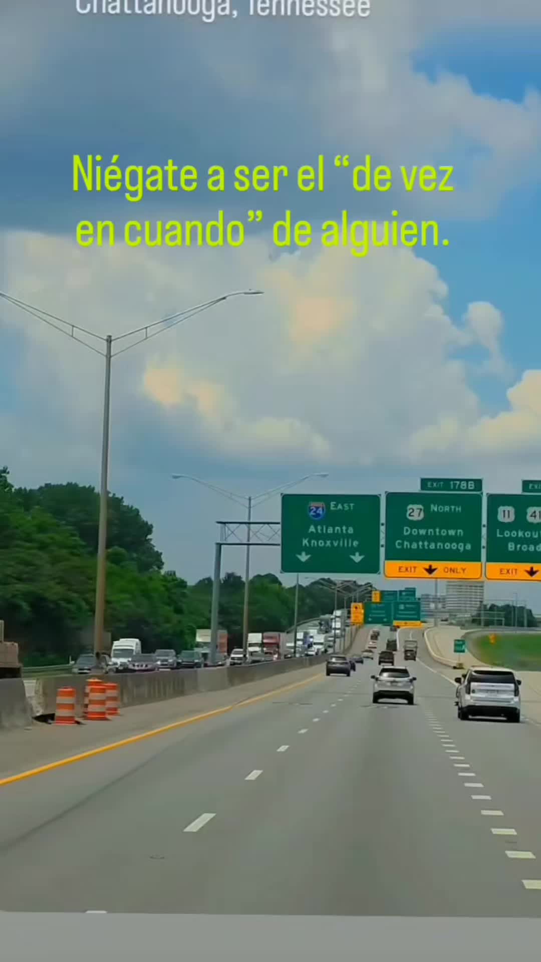 @el panda solitario